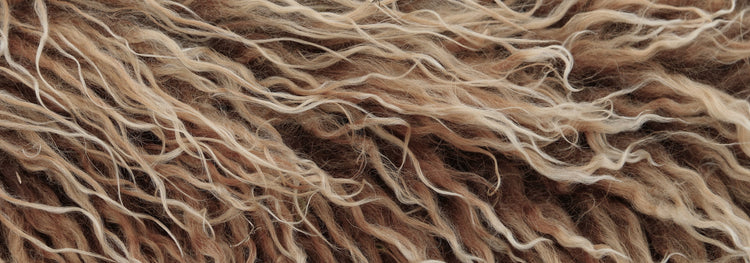 ALPACA