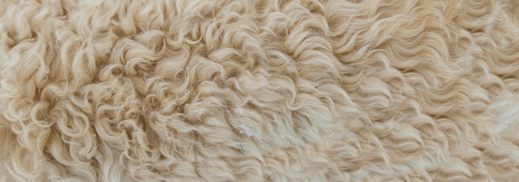 MERINO